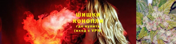 дмт Костерёво