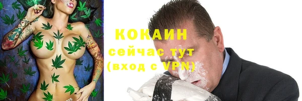 дмт Костерёво