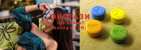 дмт Костерёво