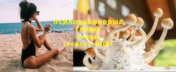 дмт Костерёво