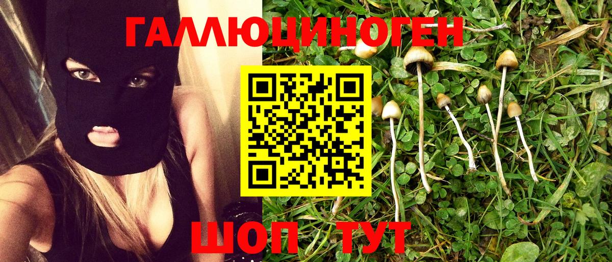 Галлюциногенные грибы прущие грибы Ртищево