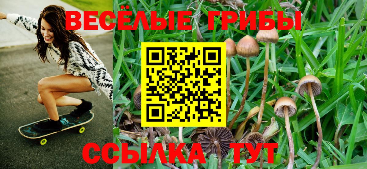 Ртищево  Псилоцибиновые грибы Psilocybine cubensis  Вход с VPN  Галлюциногенные грибы мухоморы 