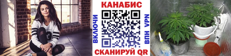 Бошки марихуана индика  Ртищево 